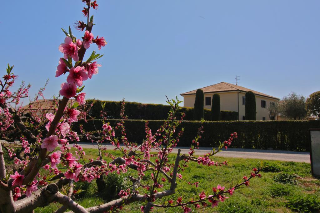Portasirena Paestum